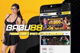 Babu88 Casino: Ports, Table Gamings, Live Dealers