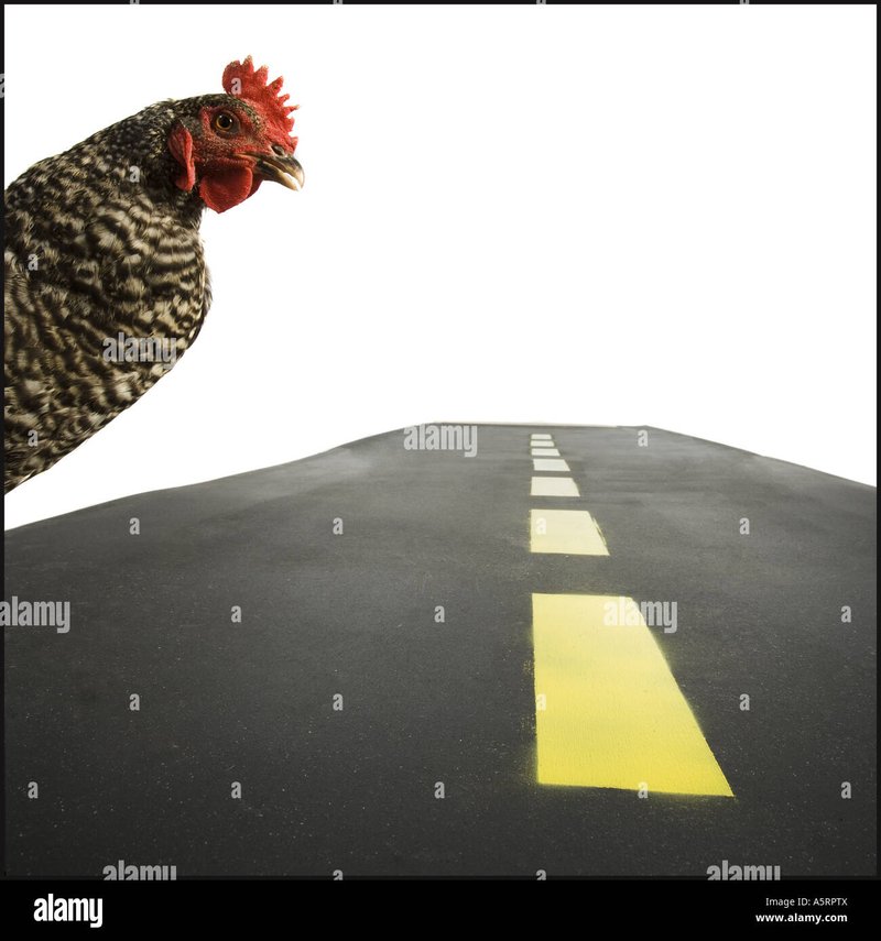 Chicken road 2 casino, chicken road 2 españa