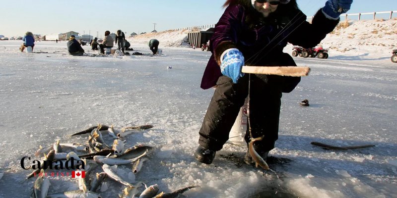 Best ice fishing live casino in United Kigdom